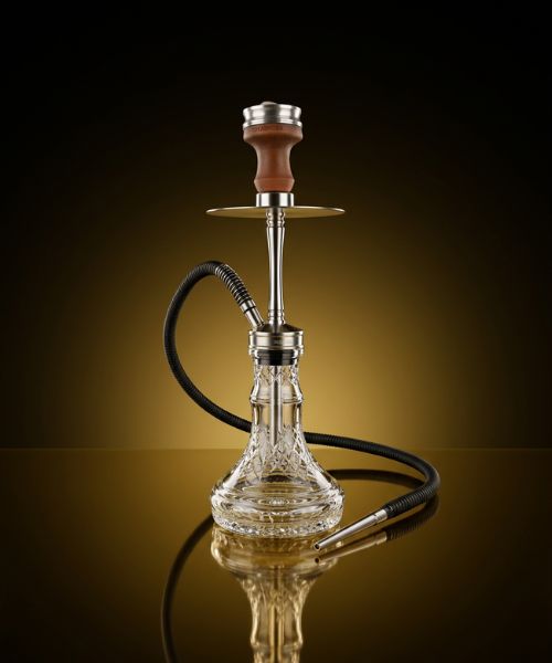 Model 1